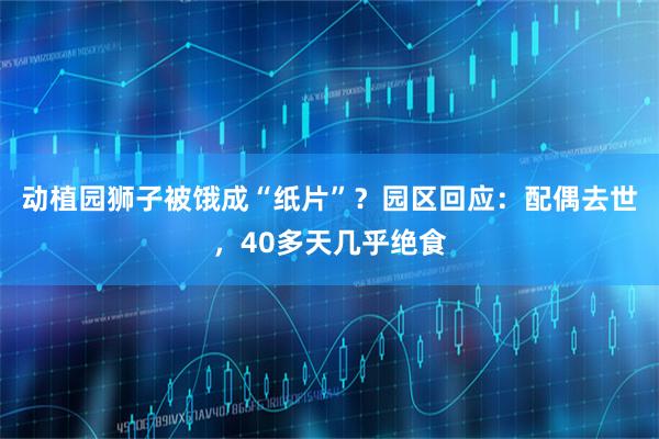 动植园狮子被饿成“纸片”？园区回应：配偶去世，40多天几乎绝食