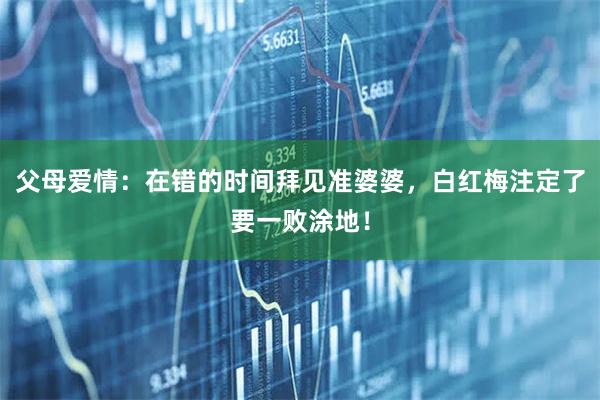 父母爱情：在错的时间拜见准婆婆，白红梅注定了要一败涂地！