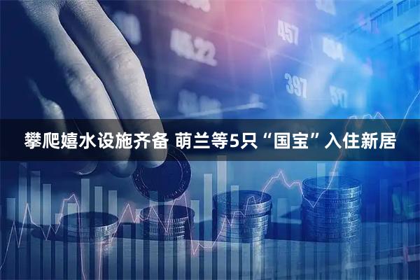 攀爬嬉水设施齐备 萌兰等5只“国宝”入住新居